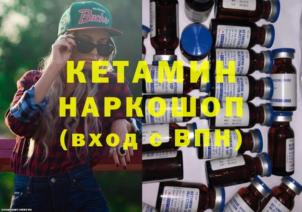 индика Алексин