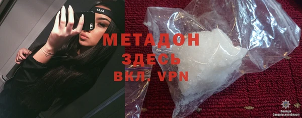 индика Алексин
