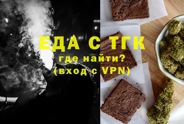индика Алексин