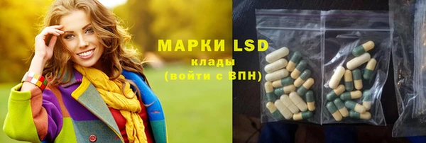индика Алексин