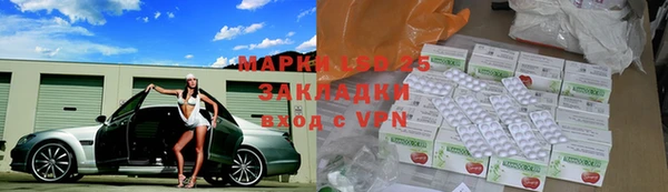 индика Алексин