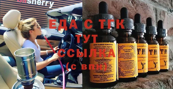 индика Алексин